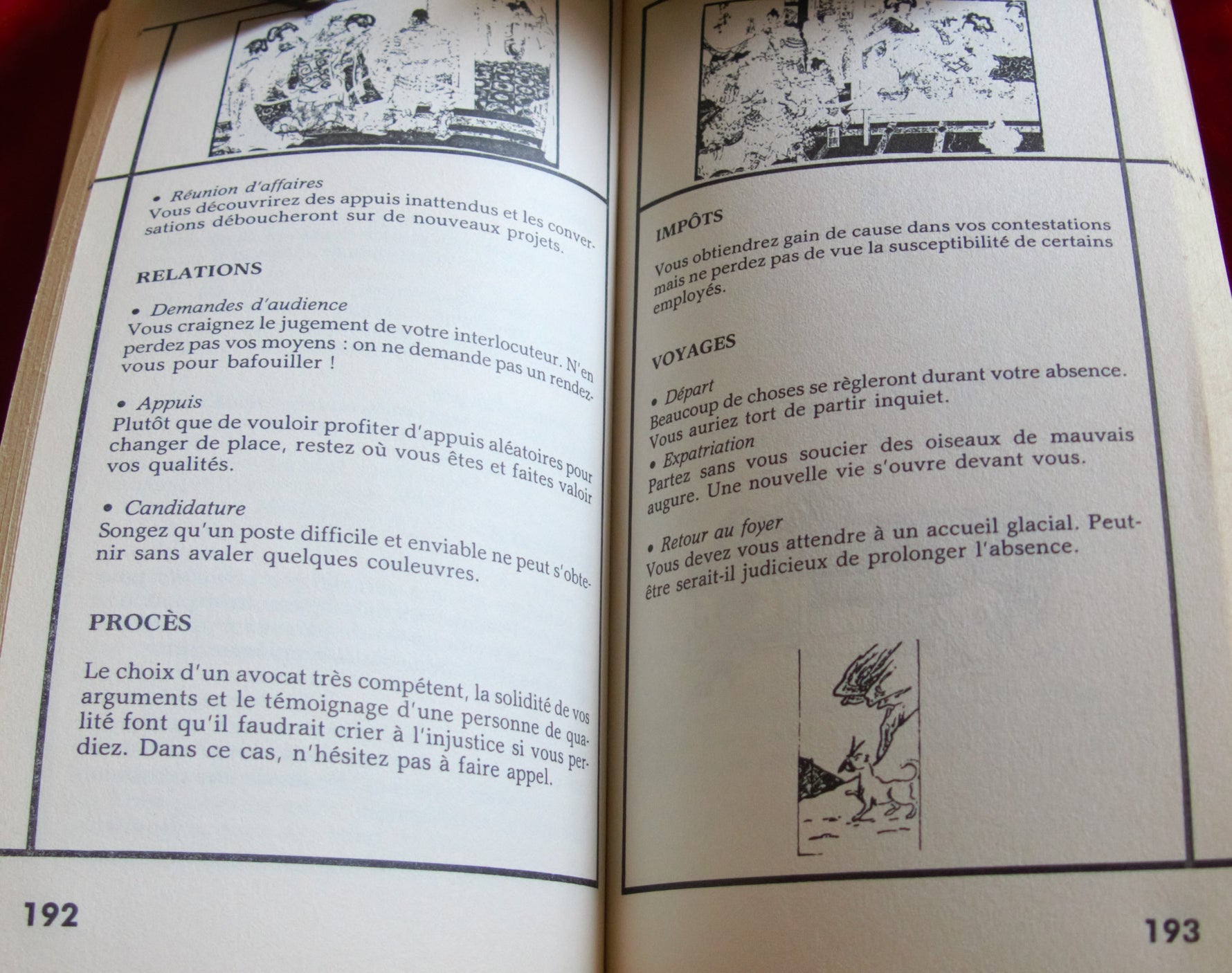 Chinese divination Book 1985, Read Tea Leaves - Tasseography