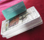 Tarot Neoclassico – Rare 2002 Italian Edition - Historic Lombard Reproduction