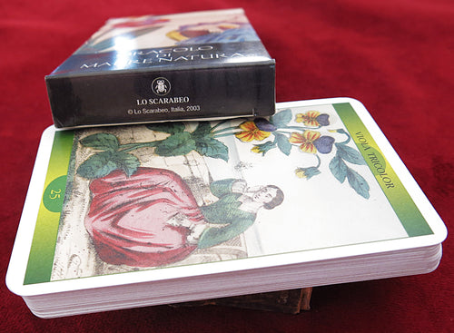 L'Oracle de Mère Nature – Extrait d'un oracle floral du XIXe siècle (1840) – Épuisé