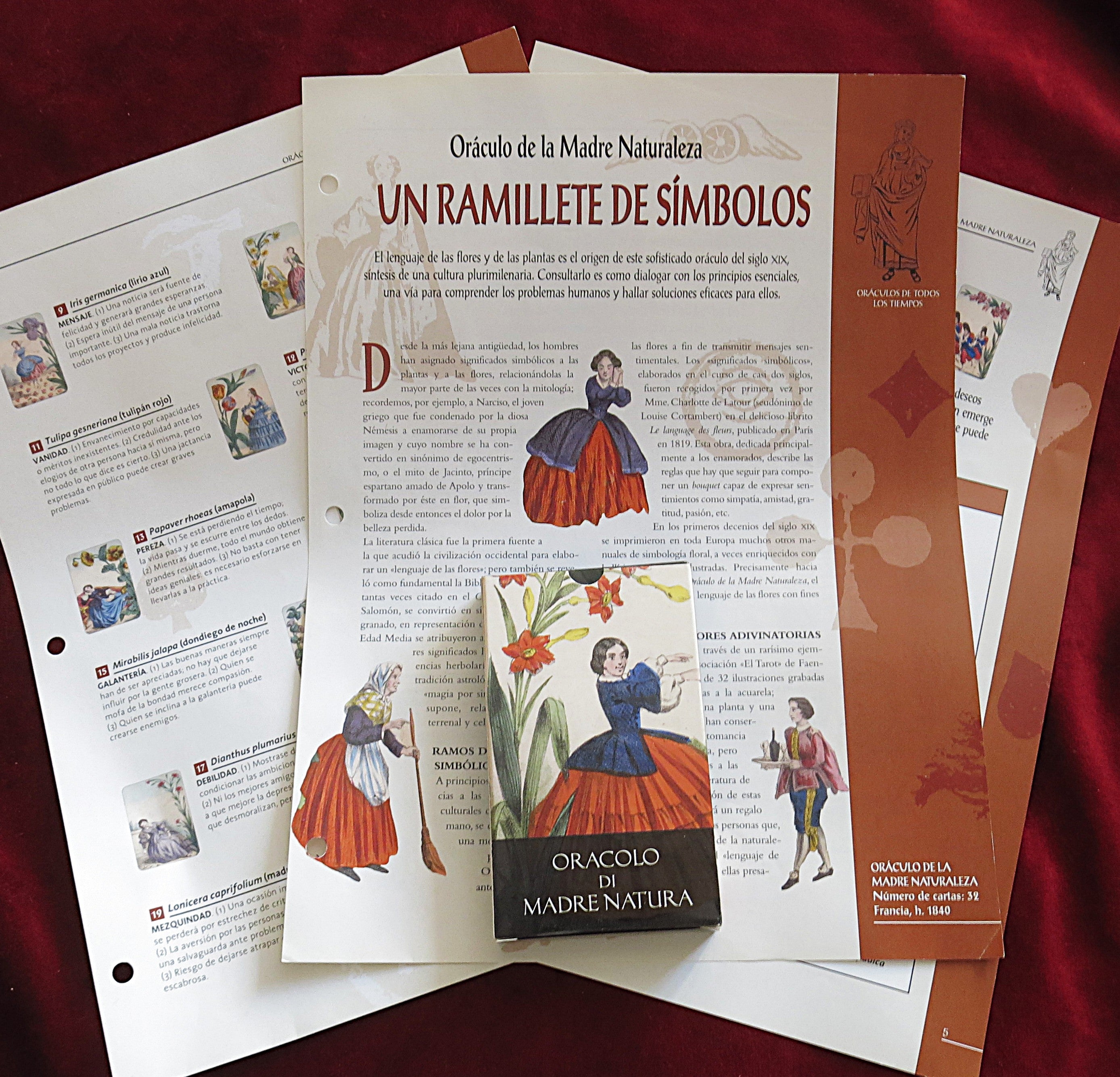 Mother Nature’s Oracle – From a 19th-Century Floral Oracle (1840) – OOP