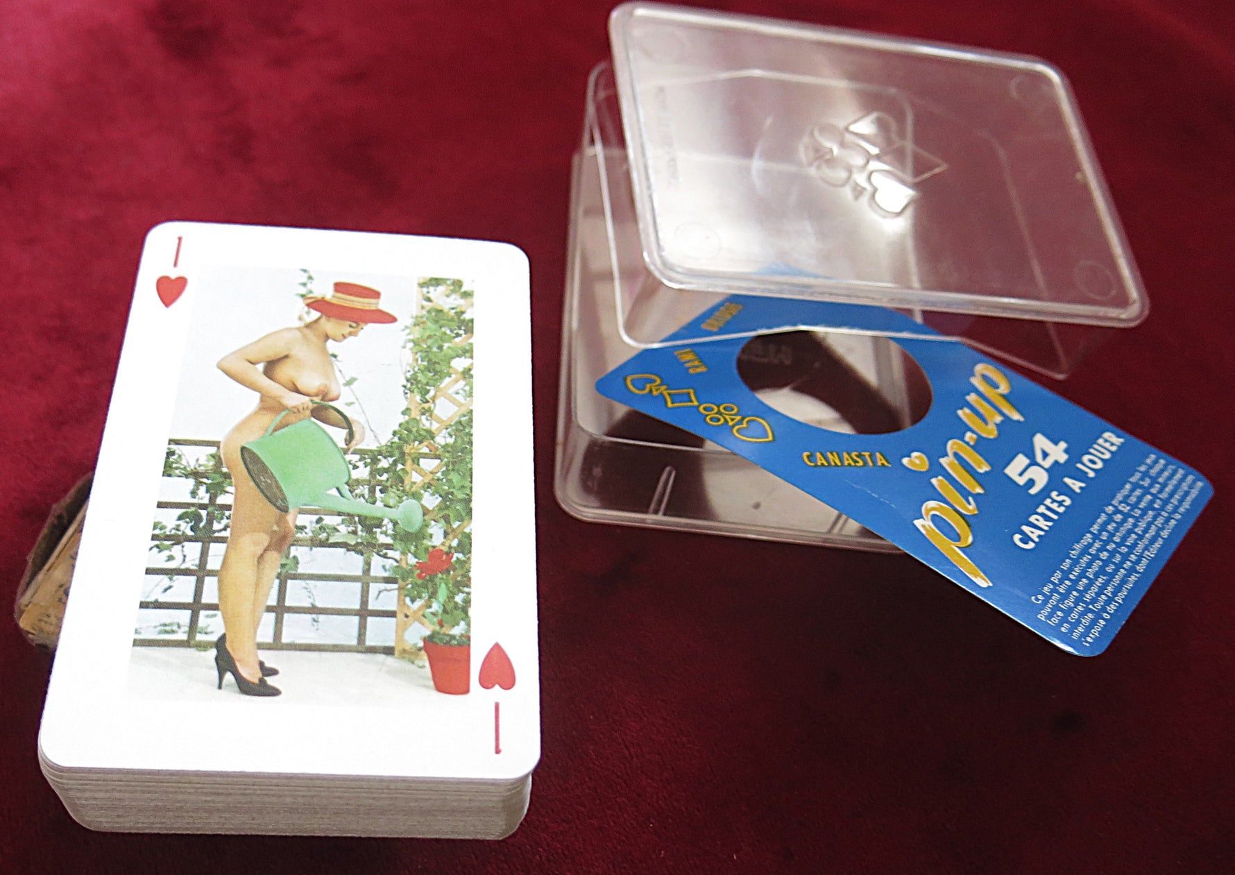 Pin-up 54 classic 60s–70s Nude pin-up deck, glamour photography