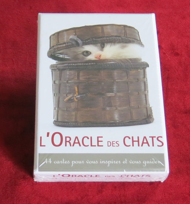 The Oracle of Cats - OUT OF PRINT - Jane Burton, Feline Cards