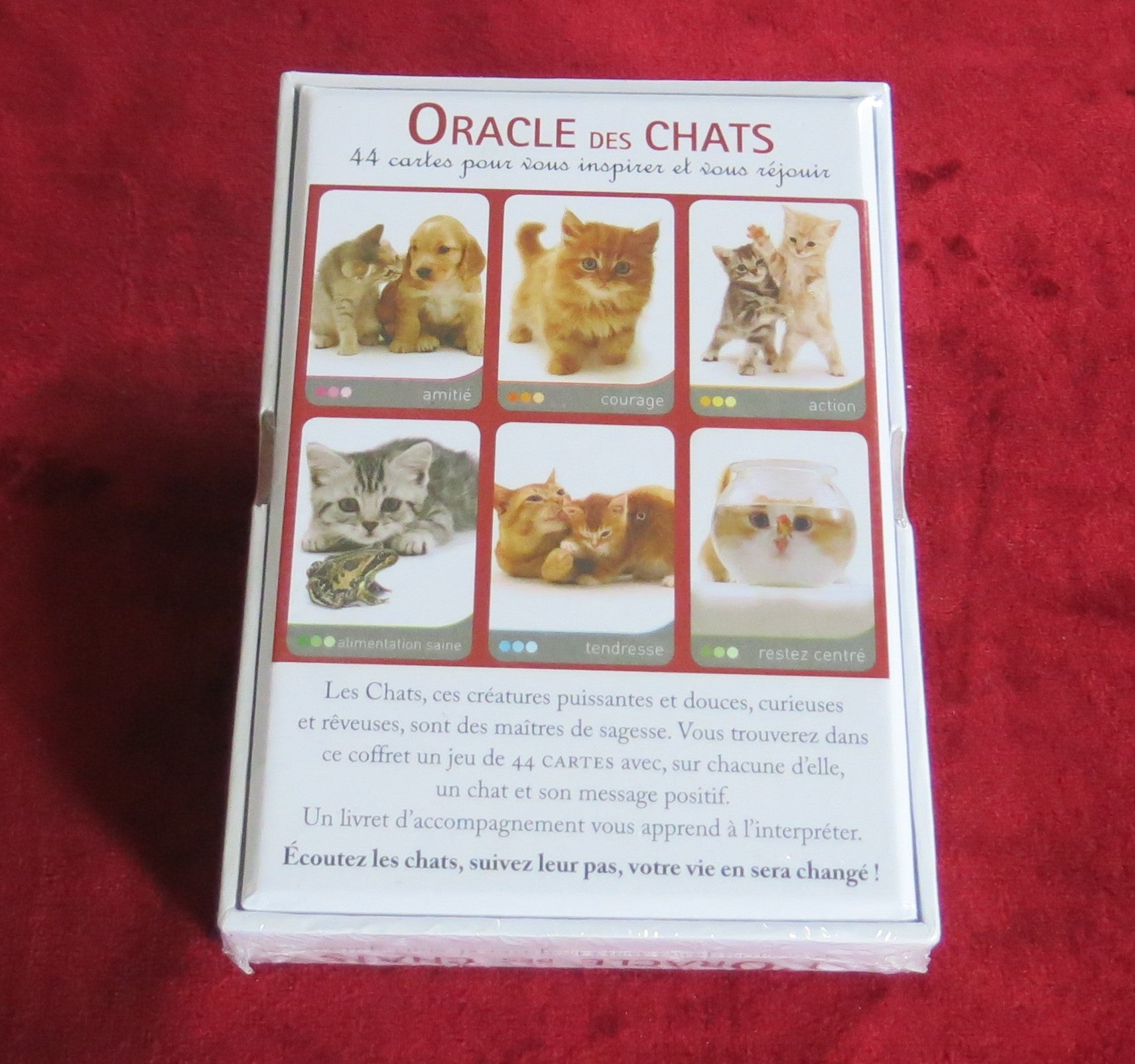 The Oracle of Cats - OUT OF PRINT - Jane Burton, Feline Cards