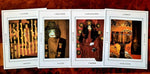 The Tarot De La Tapisserie 1994 - Hard to Find tarot