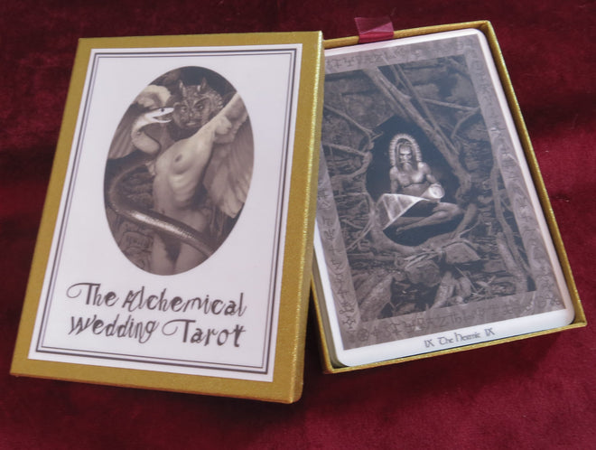 Sadism / Mashochism Tarot: Alchemical Tarot OOP&RARE - Gothic' deck - shadow work - sadistic tarot