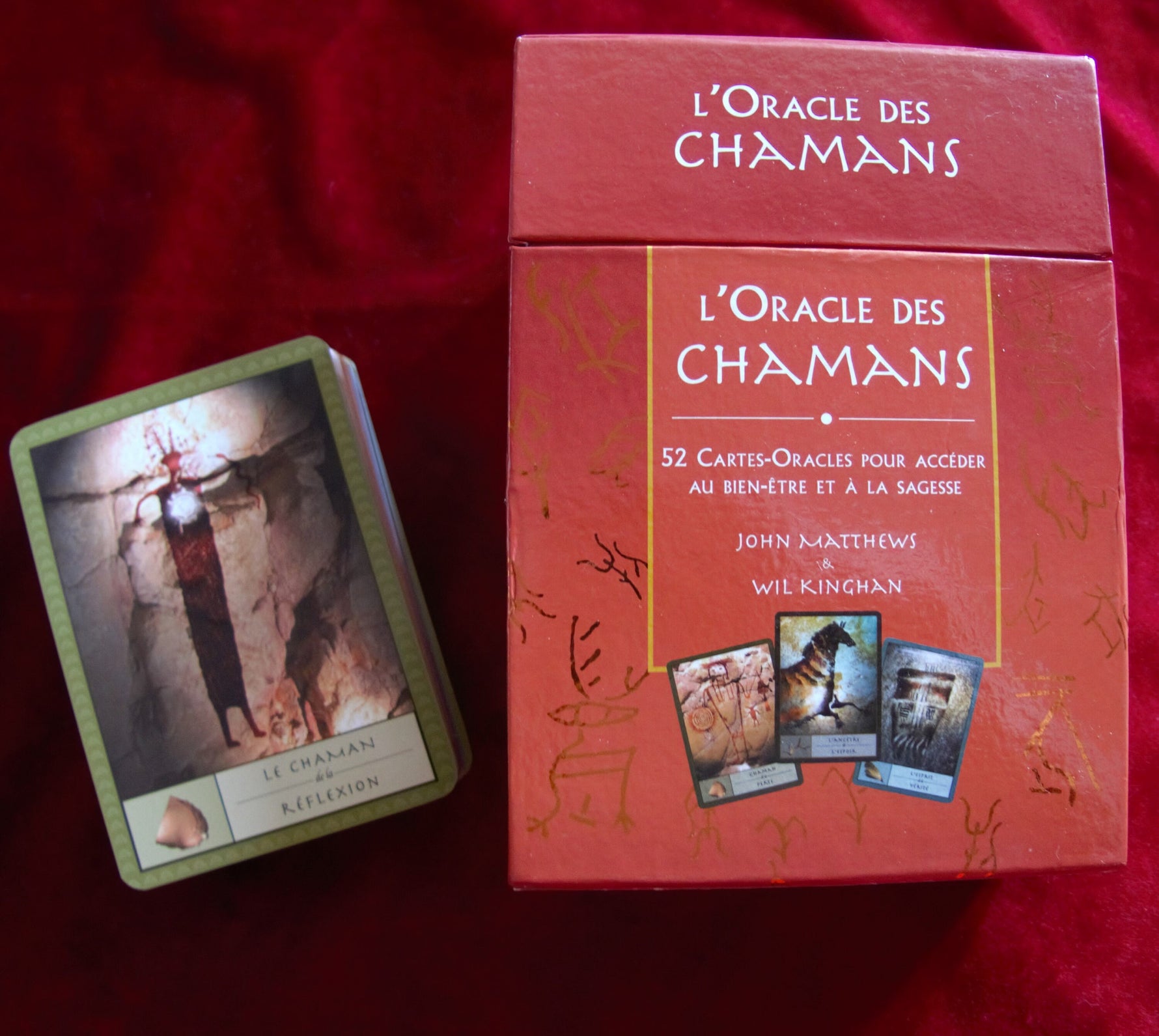 Shamanic Healing Cards - The Shaman's Oracle - French Edition
