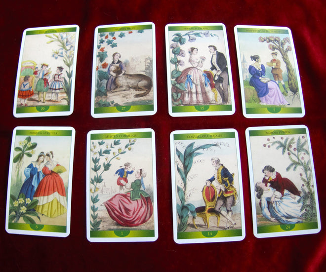 Mother Nature's oracle - Out of Print - Lo Scarabeo - 2002